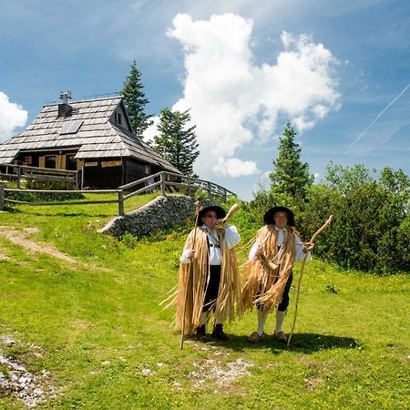 Chalet Tisa Velika Planina オスレンドネスロヴェンスカ エクステリア 写真