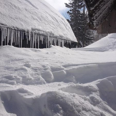Chalet Tisa Velika Planina オスレンドネスロヴェンスカ エクステリア 写真