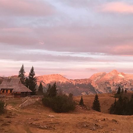 Chalet Tisa Velika Planina オスレンドネスロヴェンスカ エクステリア 写真