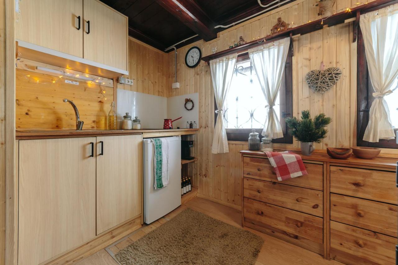 Chalet Tisa Velika Planina オスレンドネスロヴェンスカ エクステリア 写真
