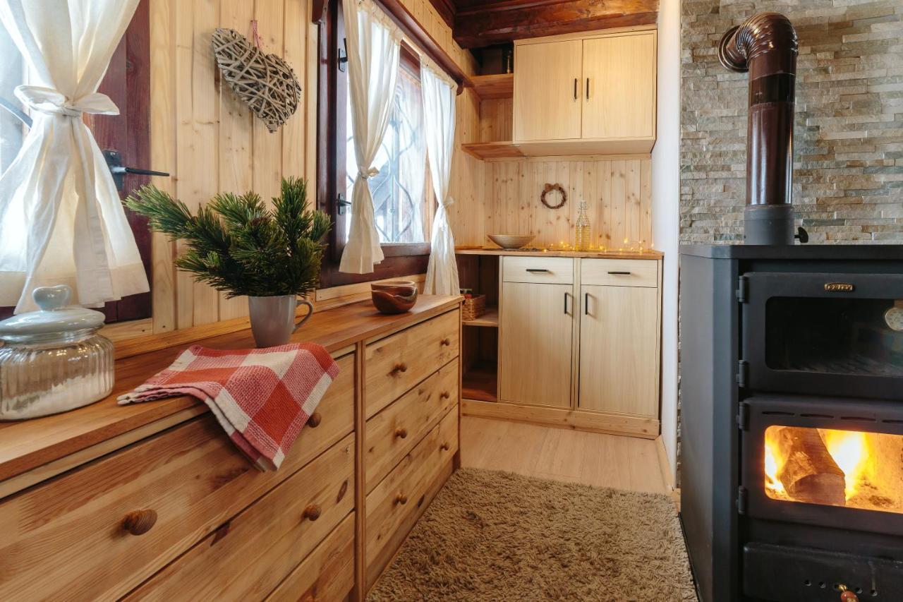 Chalet Tisa Velika Planina オスレンドネスロヴェンスカ エクステリア 写真