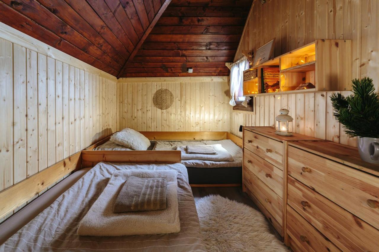 Chalet Tisa Velika Planina オスレンドネスロヴェンスカ エクステリア 写真