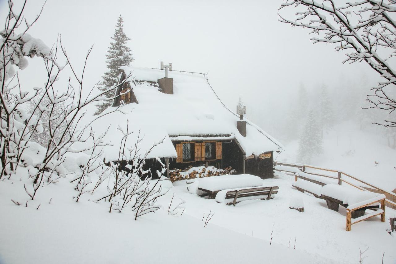 Chalet Tisa Velika Planina オスレンドネスロヴェンスカ エクステリア 写真