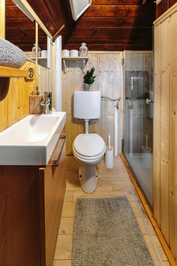 Chalet Tisa Velika Planina オスレンドネスロヴェンスカ エクステリア 写真
