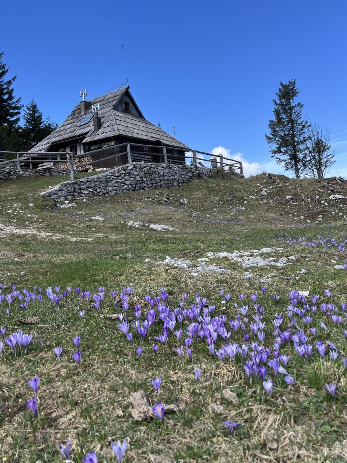 Chalet Tisa Velika Planina オスレンドネスロヴェンスカ エクステリア 写真