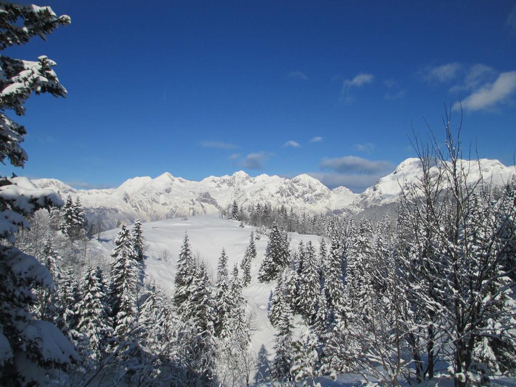 Chalet Tisa Velika Planina オスレンドネスロヴェンスカ 部屋 写真