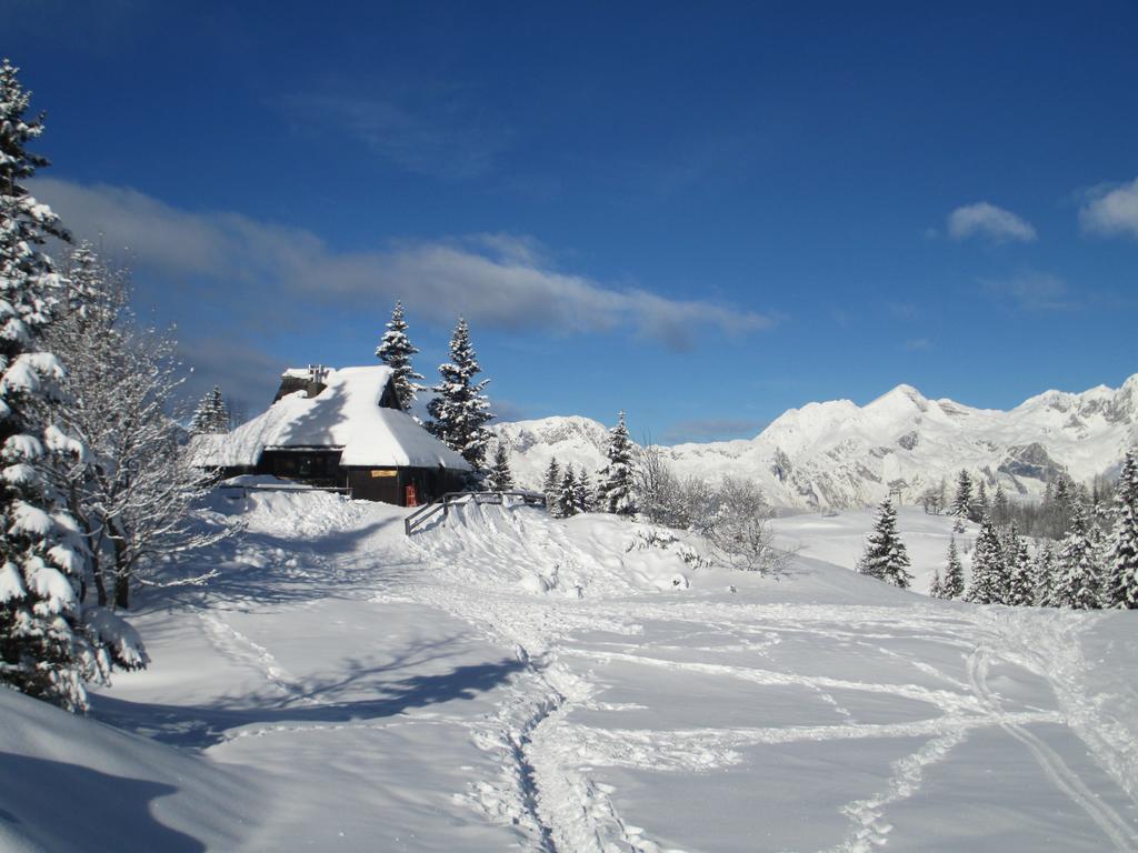 Chalet Tisa Velika Planina オスレンドネスロヴェンスカ 部屋 写真