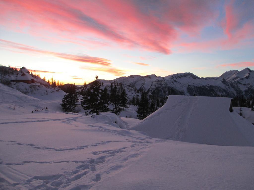 Chalet Tisa Velika Planina オスレンドネスロヴェンスカ 部屋 写真