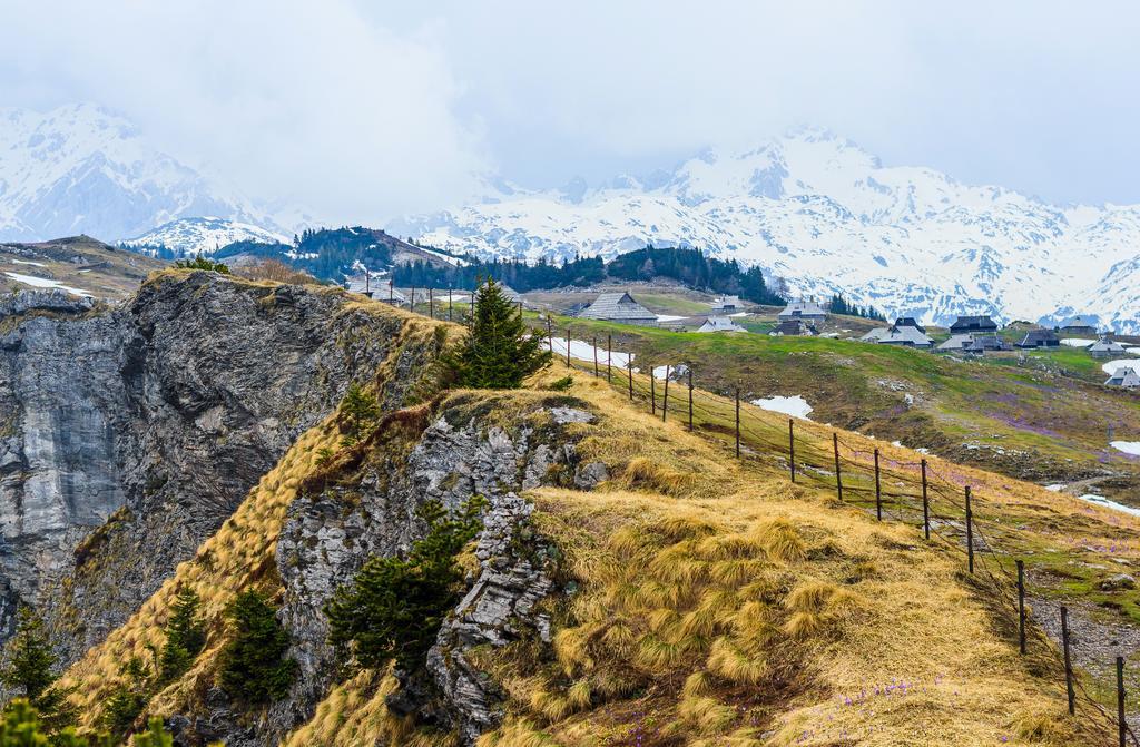 Chalet Tisa Velika Planina オスレンドネスロヴェンスカ 部屋 写真
