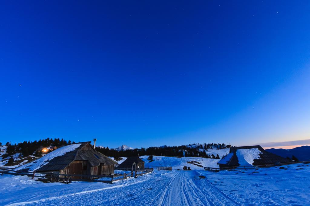 Chalet Tisa Velika Planina オスレンドネスロヴェンスカ 部屋 写真