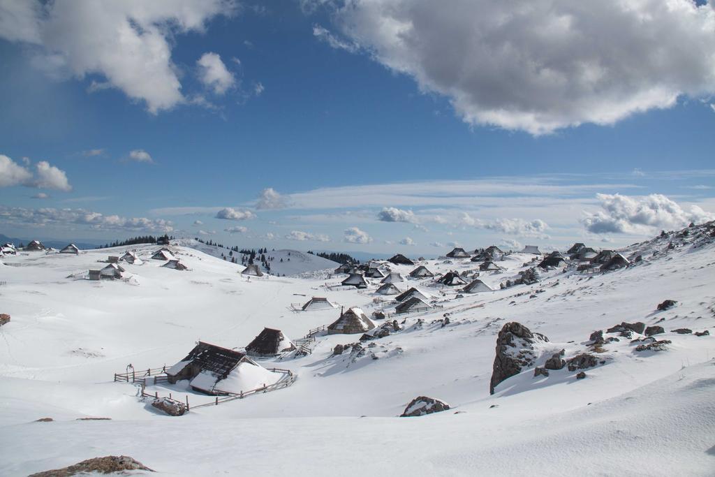 Chalet Tisa Velika Planina オスレンドネスロヴェンスカ 部屋 写真