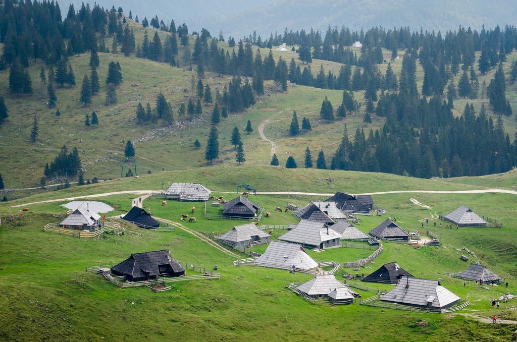 Chalet Tisa Velika Planina オスレンドネスロヴェンスカ 部屋 写真