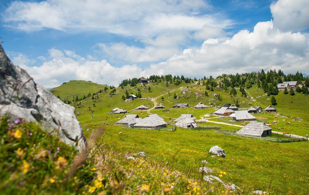 Chalet Tisa Velika Planina オスレンドネスロヴェンスカ 部屋 写真