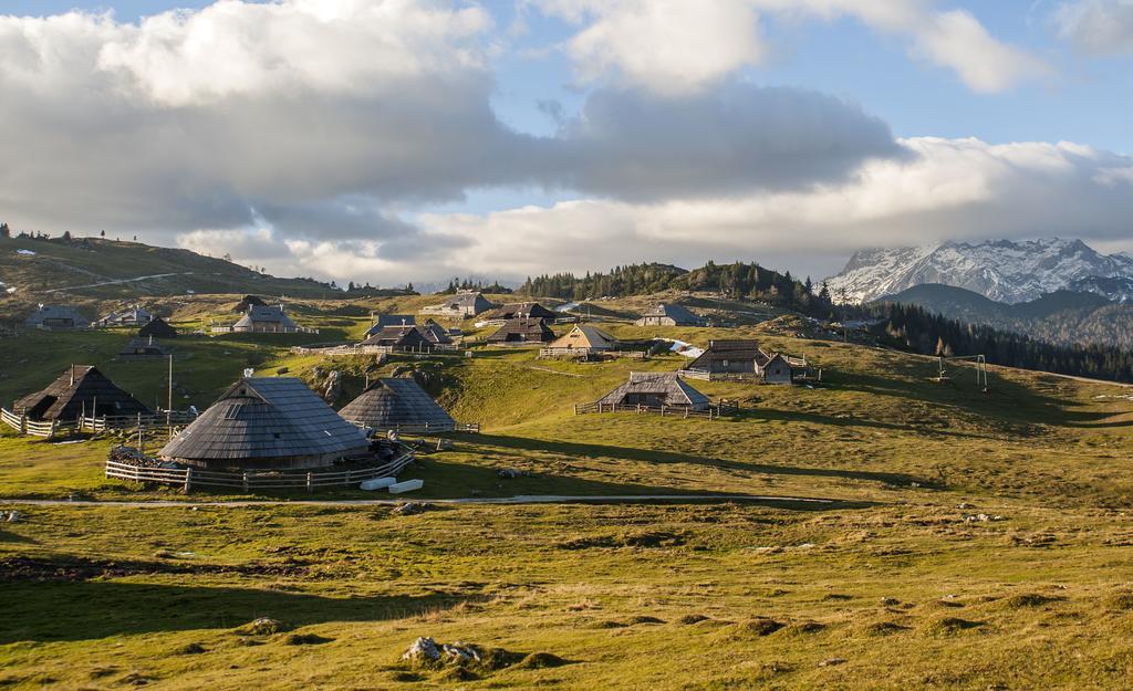 Chalet Tisa Velika Planina オスレンドネスロヴェンスカ 部屋 写真