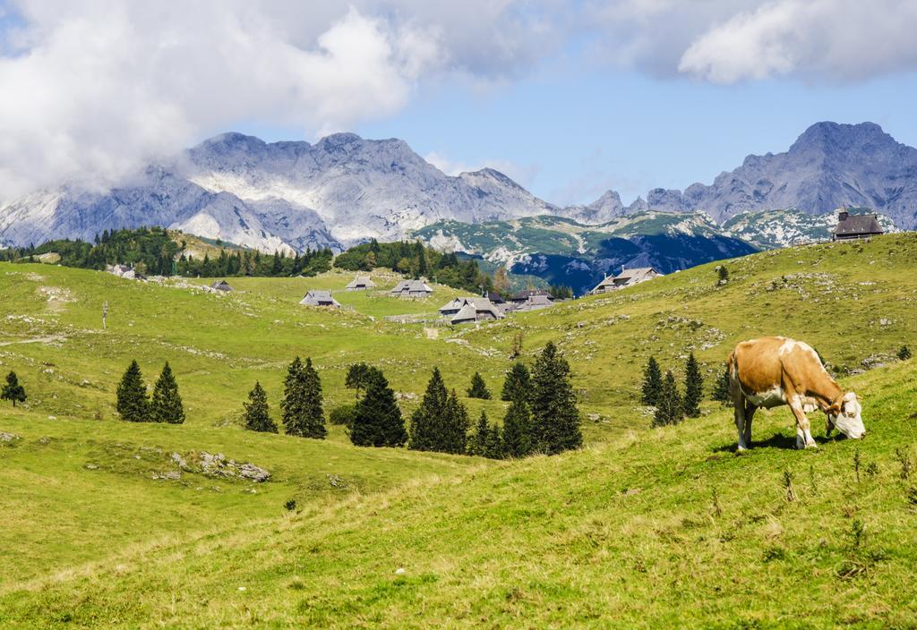 Chalet Tisa Velika Planina オスレンドネスロヴェンスカ 部屋 写真
