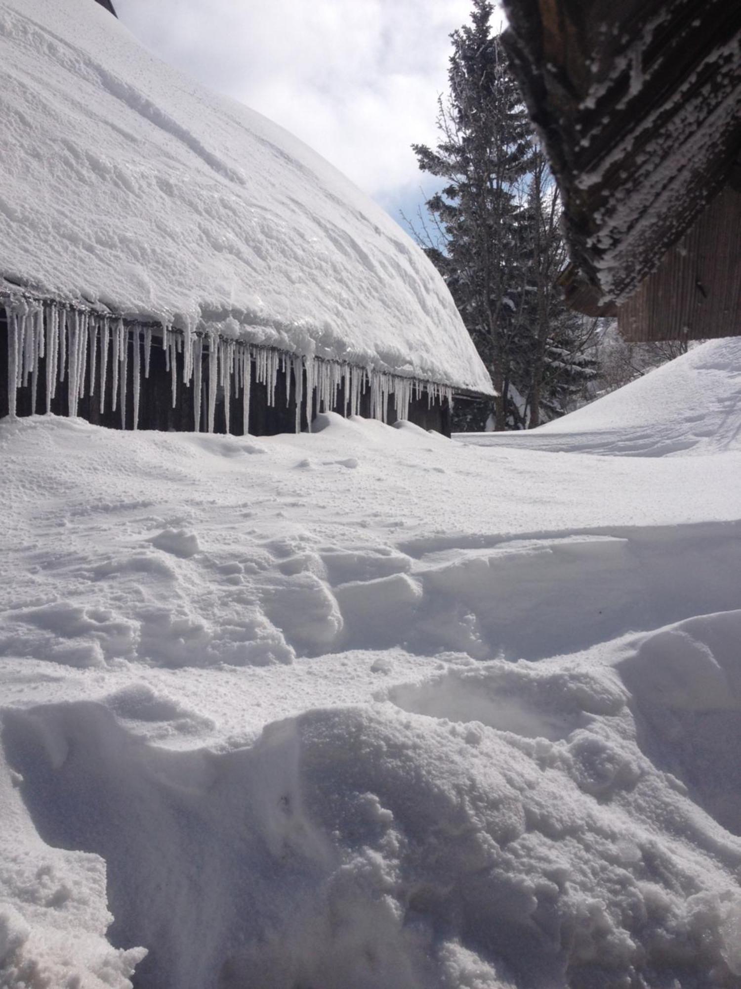 Chalet Tisa Velika Planina オスレンドネスロヴェンスカ エクステリア 写真
