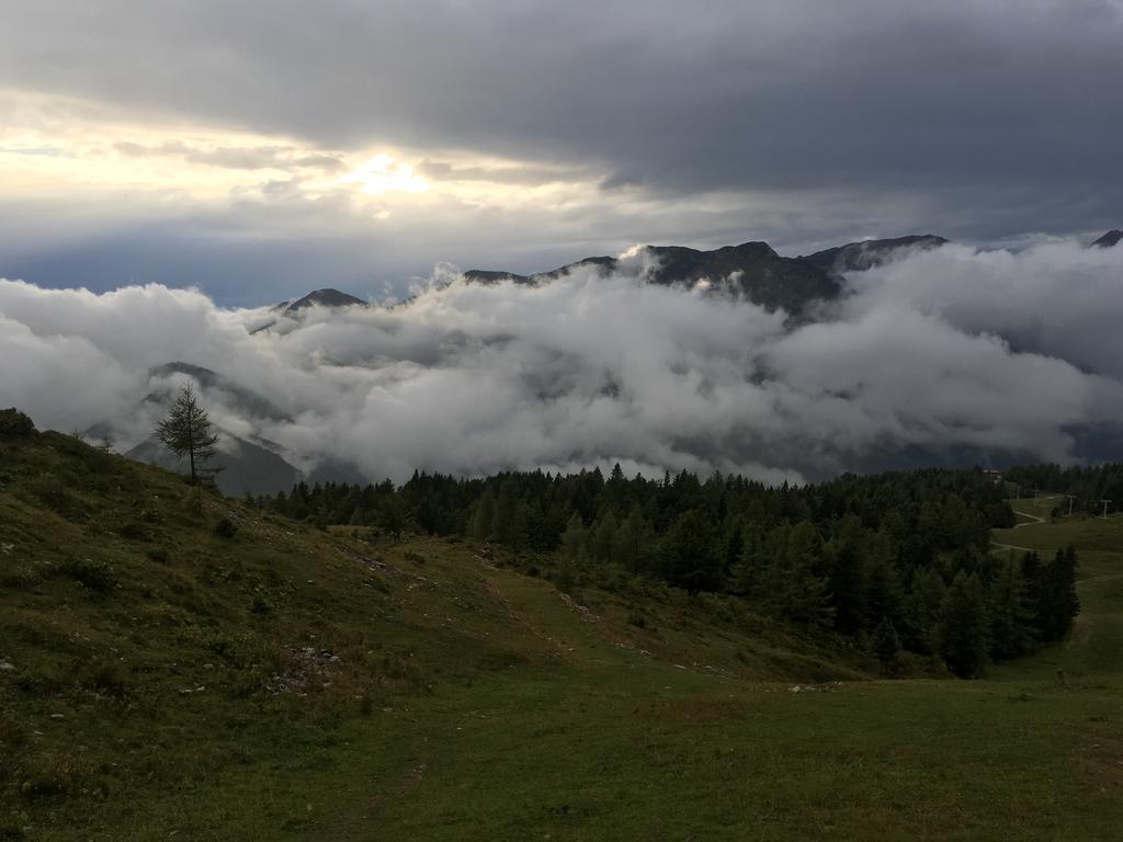 Chalet Tisa Velika Planina オスレンドネスロヴェンスカ エクステリア 写真