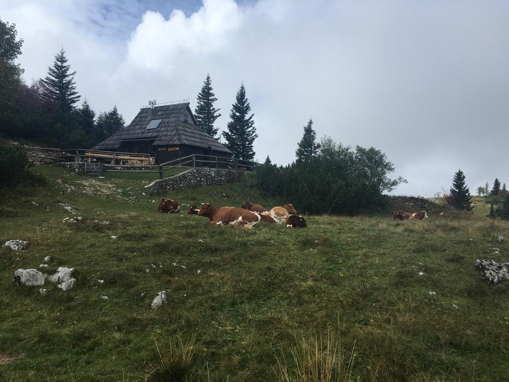 Chalet Tisa Velika Planina オスレンドネスロヴェンスカ エクステリア 写真