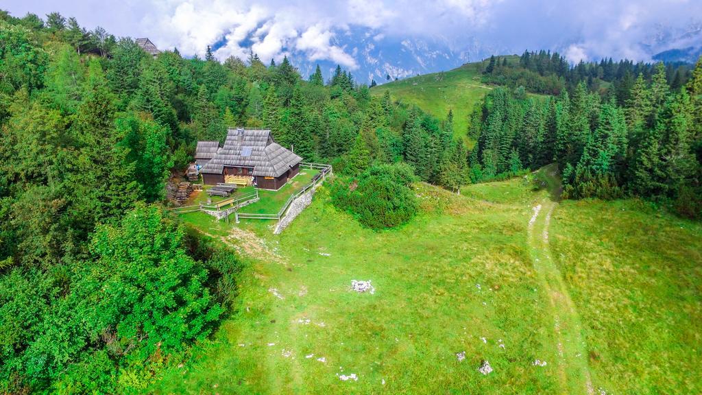 Chalet Tisa Velika Planina オスレンドネスロヴェンスカ エクステリア 写真