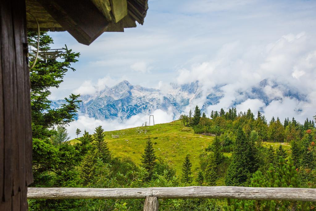 Chalet Tisa Velika Planina オスレンドネスロヴェンスカ エクステリア 写真