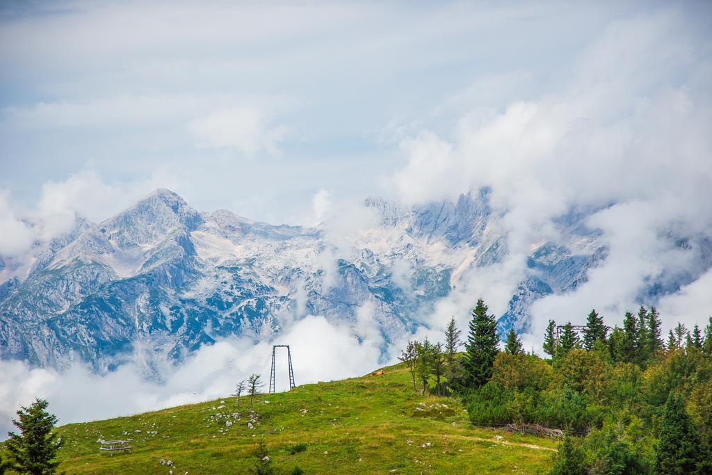 Chalet Tisa Velika Planina オスレンドネスロヴェンスカ エクステリア 写真