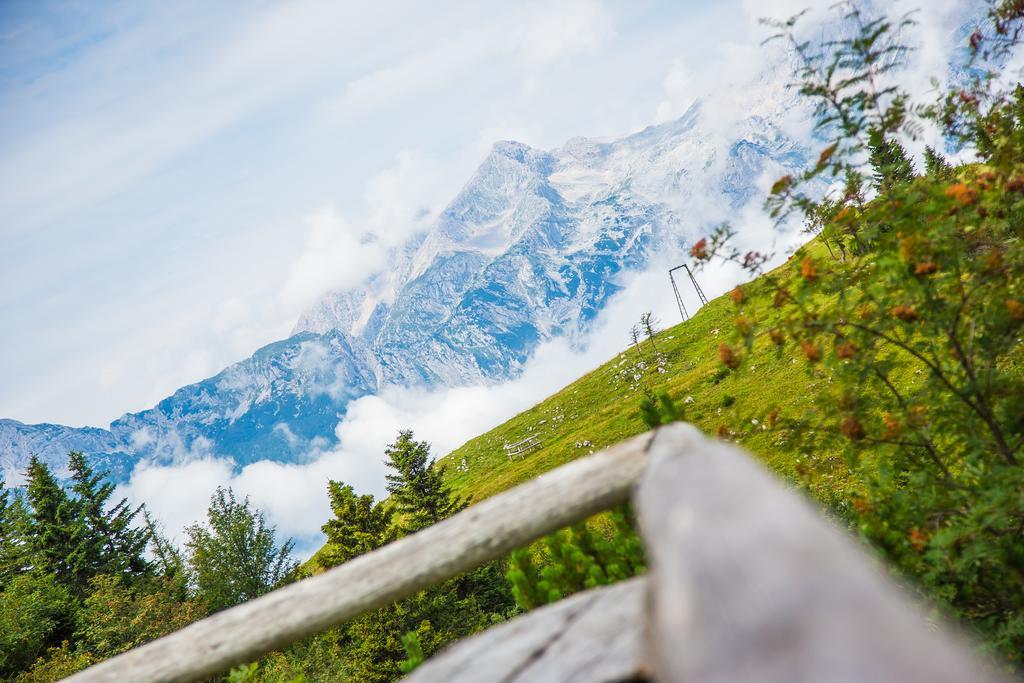 Chalet Tisa Velika Planina オスレンドネスロヴェンスカ エクステリア 写真