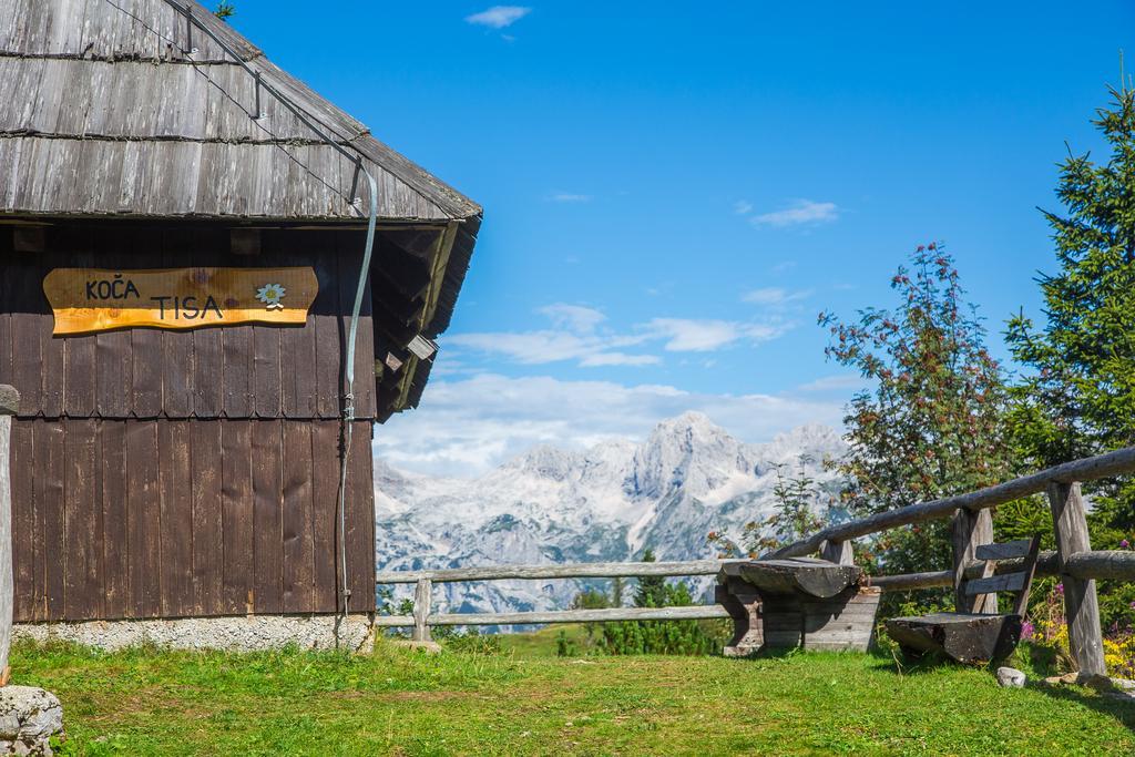 Chalet Tisa Velika Planina オスレンドネスロヴェンスカ エクステリア 写真