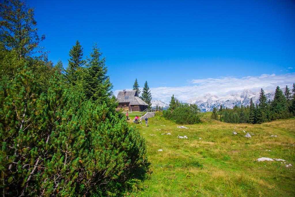 Chalet Tisa Velika Planina オスレンドネスロヴェンスカ エクステリア 写真