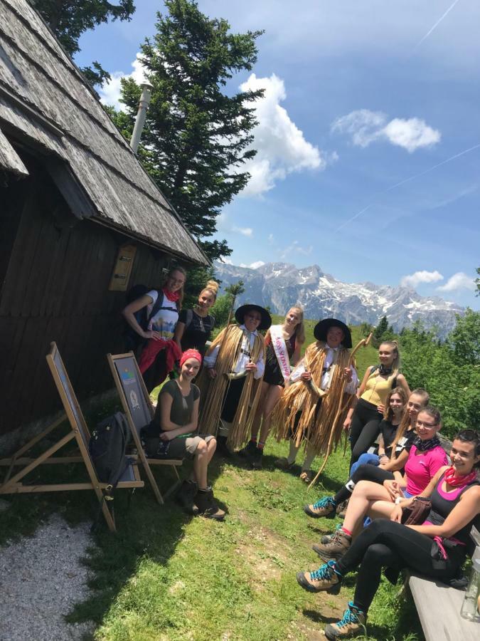 Chalet Tisa Velika Planina オスレンドネスロヴェンスカ エクステリア 写真