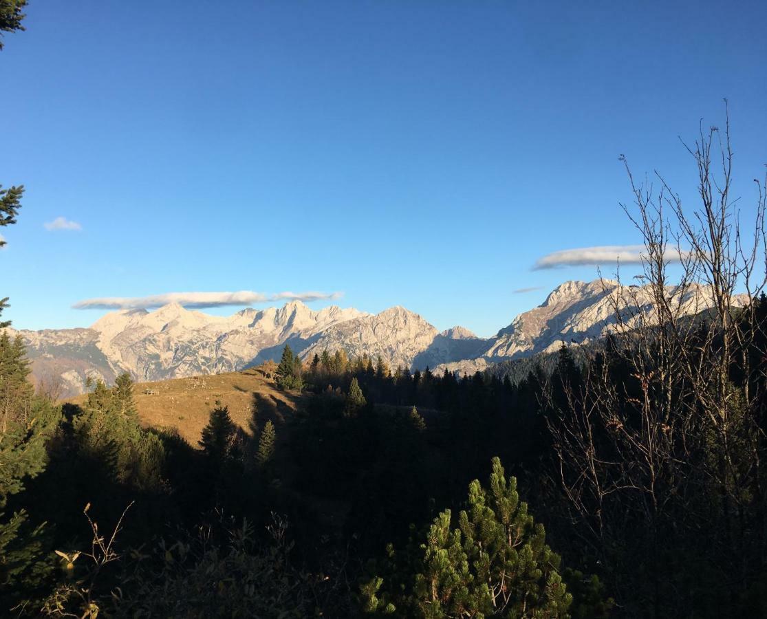 Chalet Tisa Velika Planina オスレンドネスロヴェンスカ エクステリア 写真