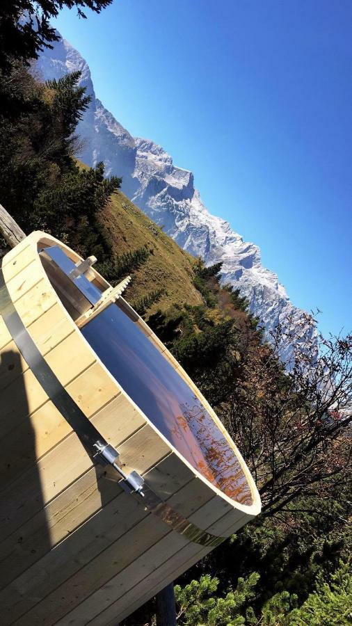 Chalet Tisa Velika Planina オスレンドネスロヴェンスカ エクステリア 写真