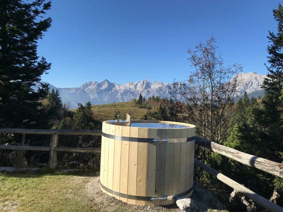 Chalet Tisa Velika Planina オスレンドネスロヴェンスカ エクステリア 写真